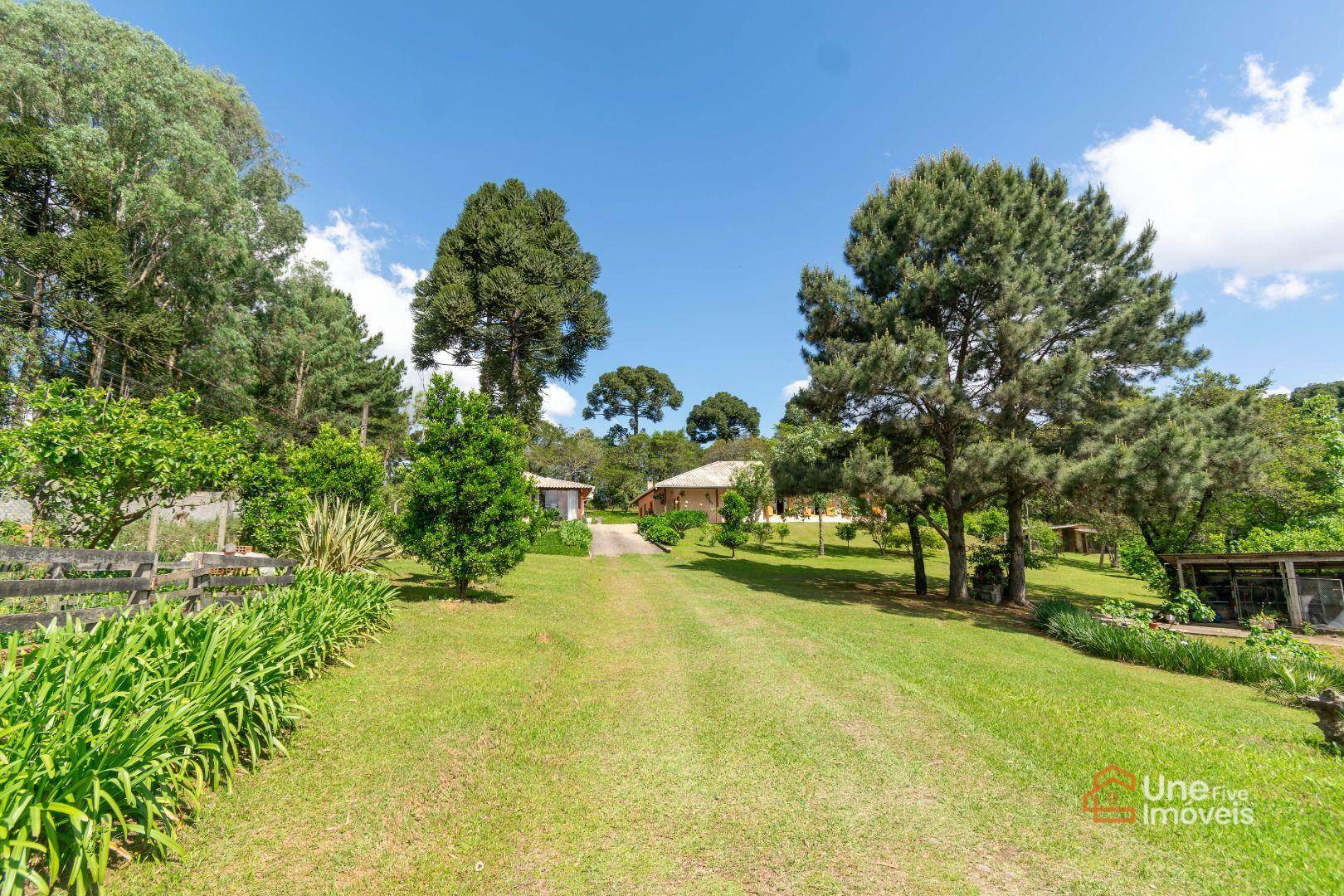 Chácara, 4 quartos, 2 hectares - Foto 3