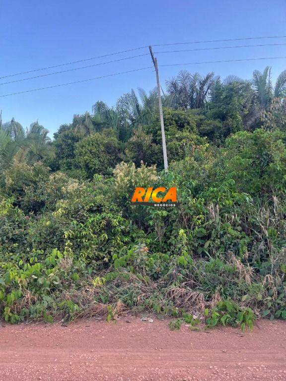 Fazenda, 100 hectares - Foto 6