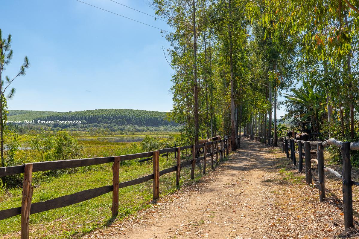 Fazenda à venda com 3 quartos, 133100m² - Foto 14