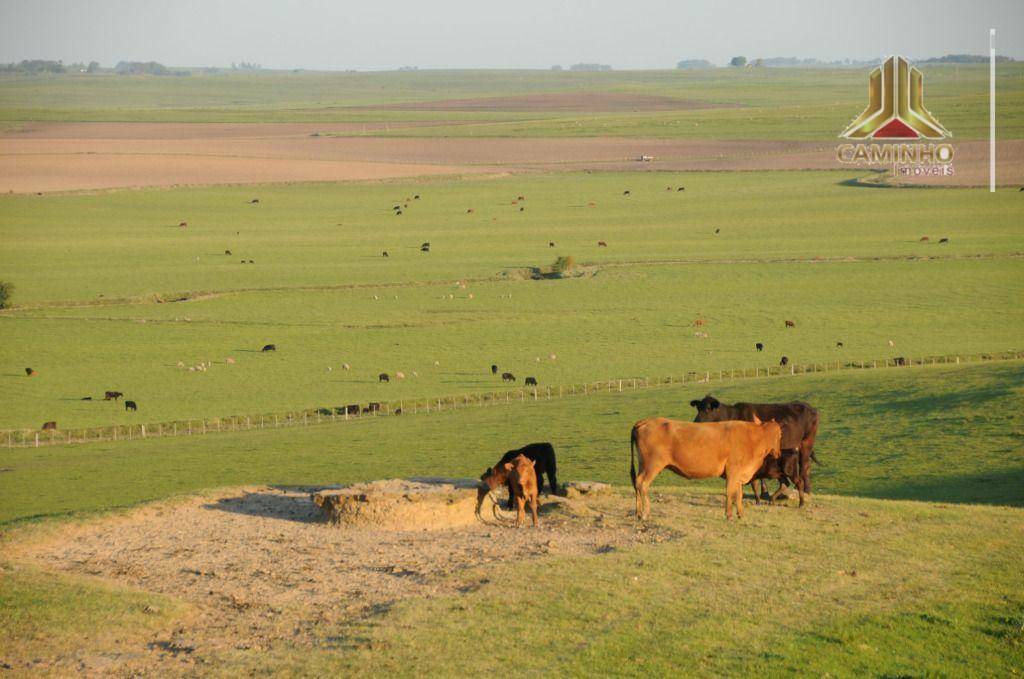 Fazenda à venda com 5 quartos, 33455000M2 - Foto 15