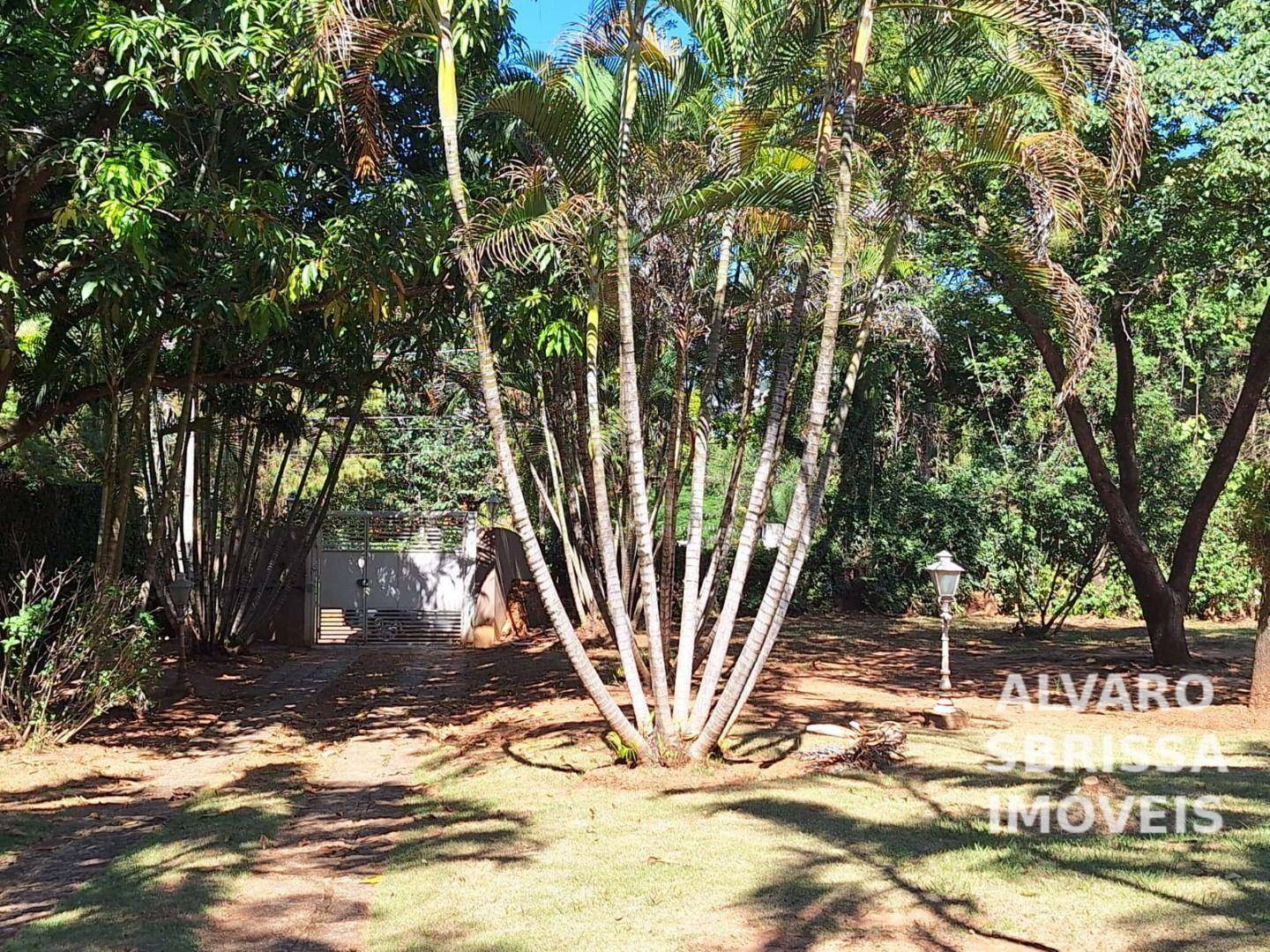 Chácara para alugar com 3 quartos, 300m² - Foto 43