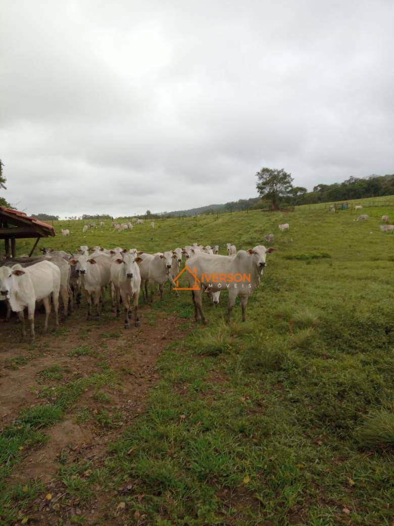 Fazenda à venda com 2 quartos, 2662000M2 - Foto 14