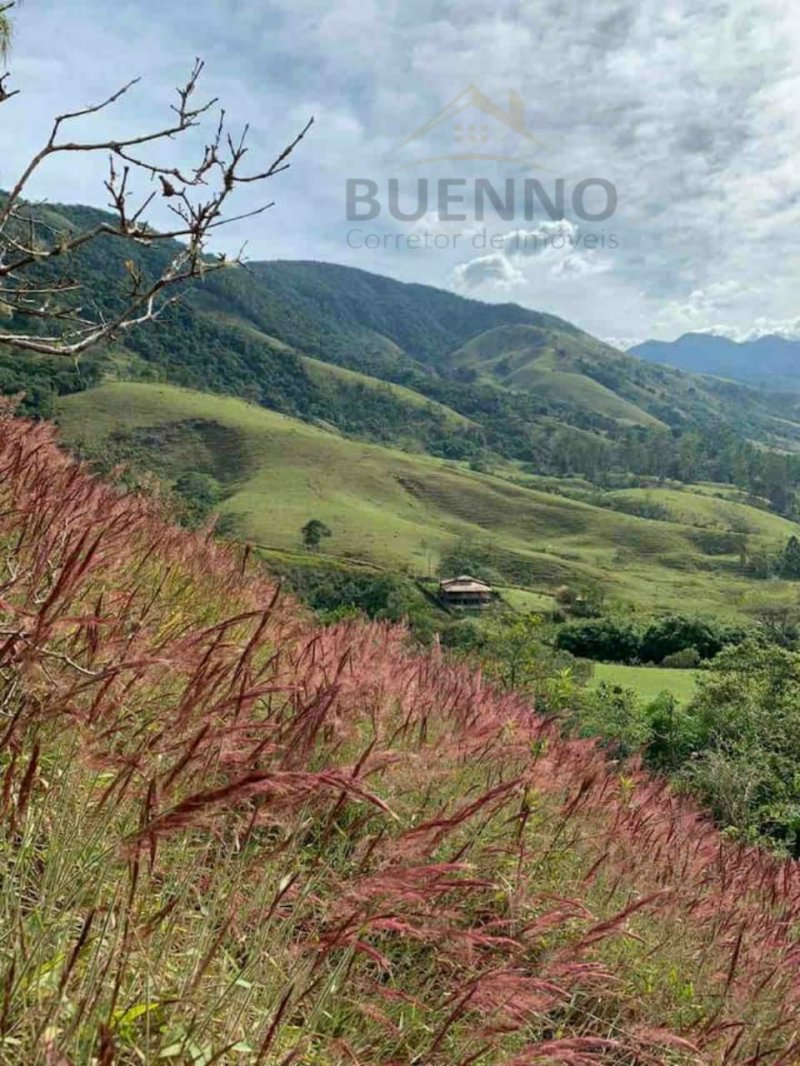 Fazenda à venda com 3 quartos, 280m² - Foto 25