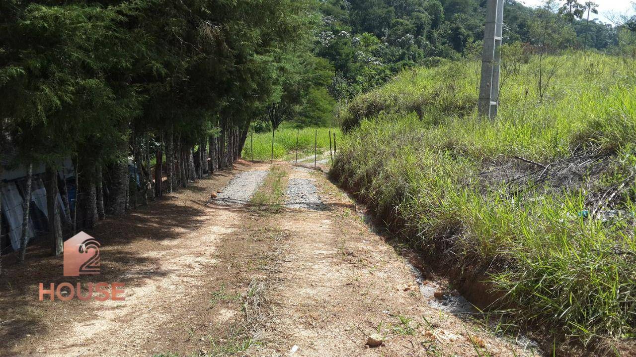 Terreno, 2 hectares - Foto 4