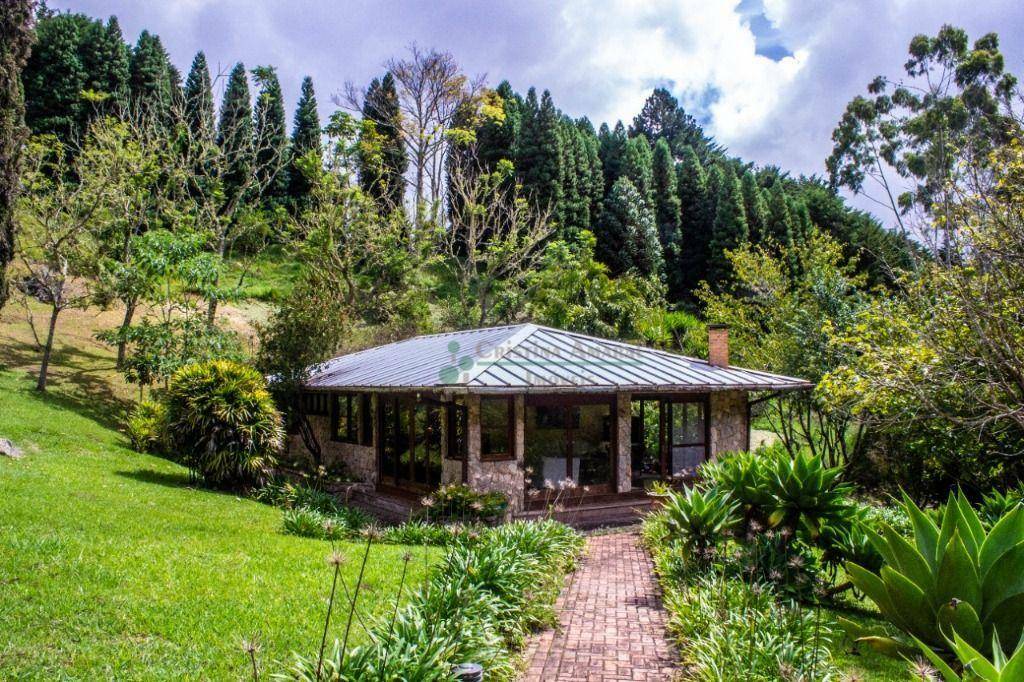 Fazenda à venda com 5 quartos, 10500000M2 - Foto 5