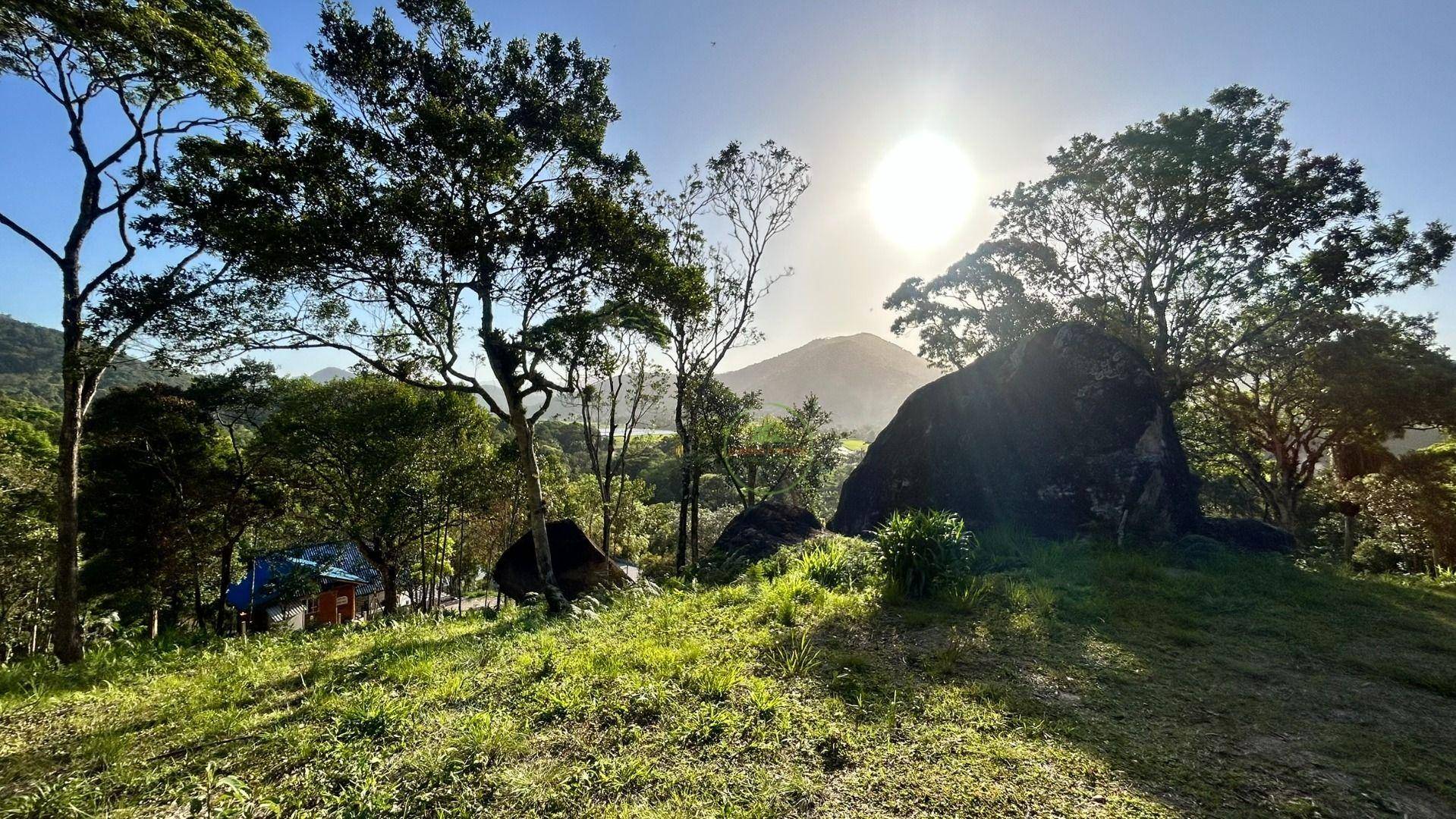 Terreno, 7700 m² - Foto 5