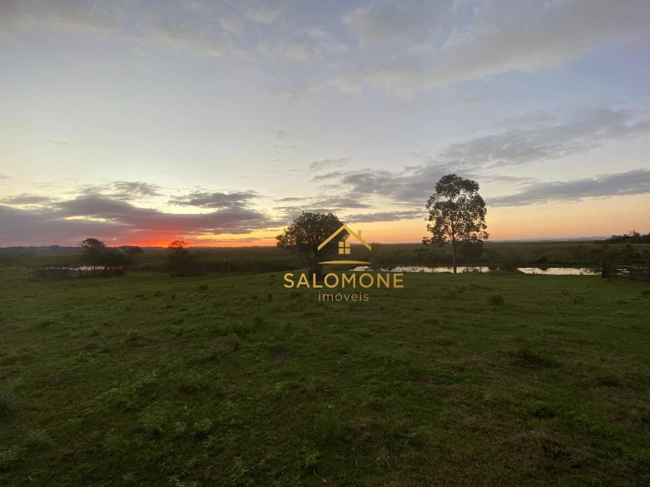 Sítio, 2 hectares - Foto 2