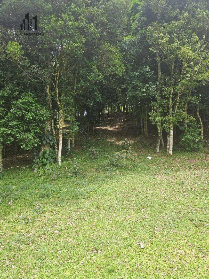 Chácara à venda com 4 quartos, 90m² - Foto 13