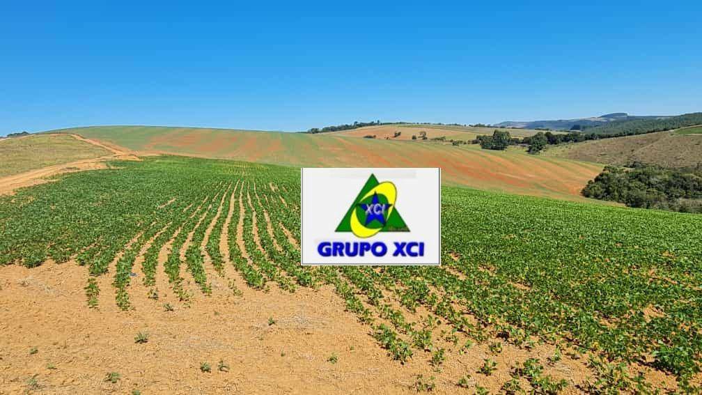 Fazenda à venda, 3800000M2 - Foto 4
