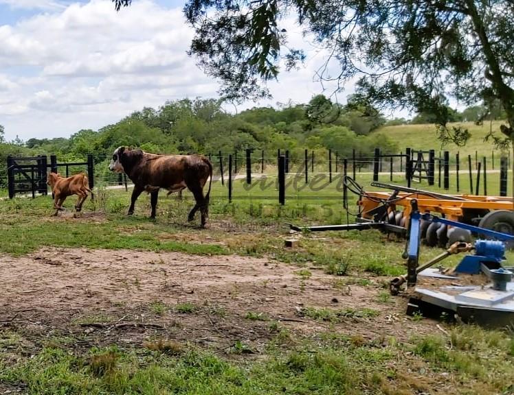 Fazenda à venda, 897m² - Foto 19