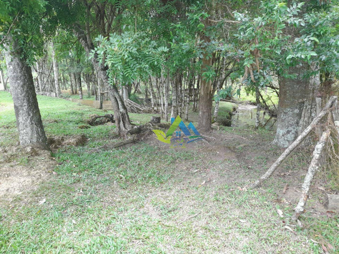 Sítio à venda, 140m² - Foto 38
