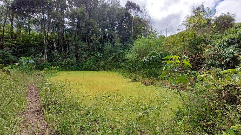 Sítio à venda - Foto 19