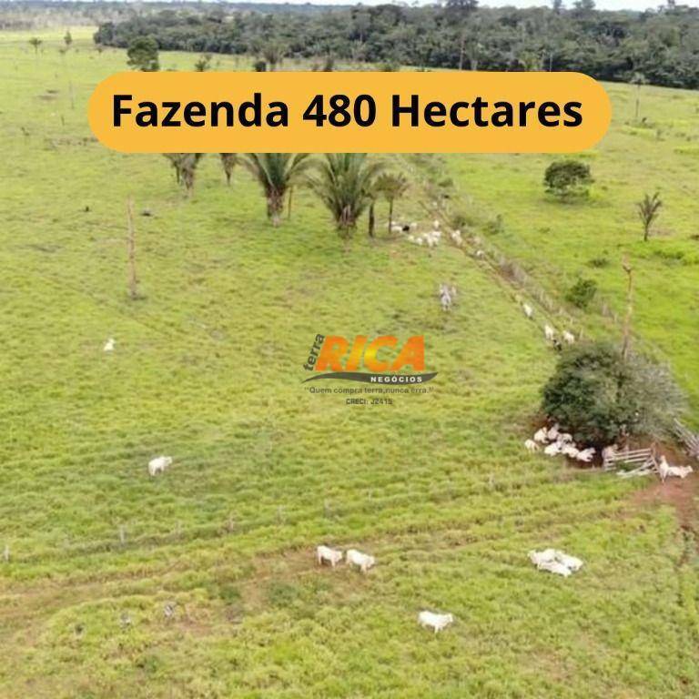 Fazenda-Sítio-Chácara, 480 hectares - Foto 1