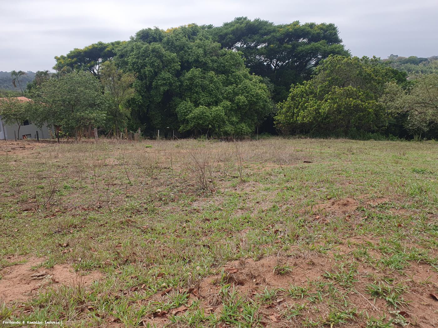 Fazenda à venda com 3 quartos, 80000m² - Foto 21