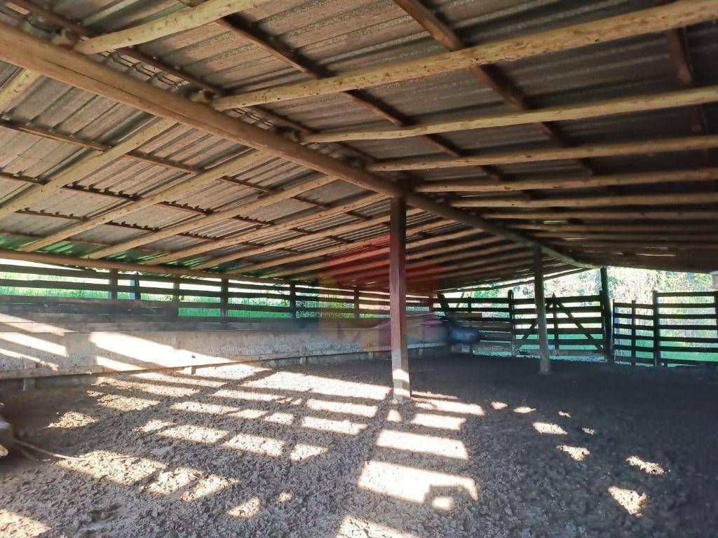 Sítio, 10 hectares - Foto 38