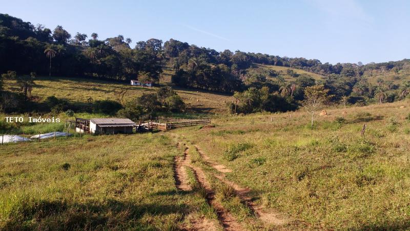 Fazenda à venda, 30m² - Foto 4