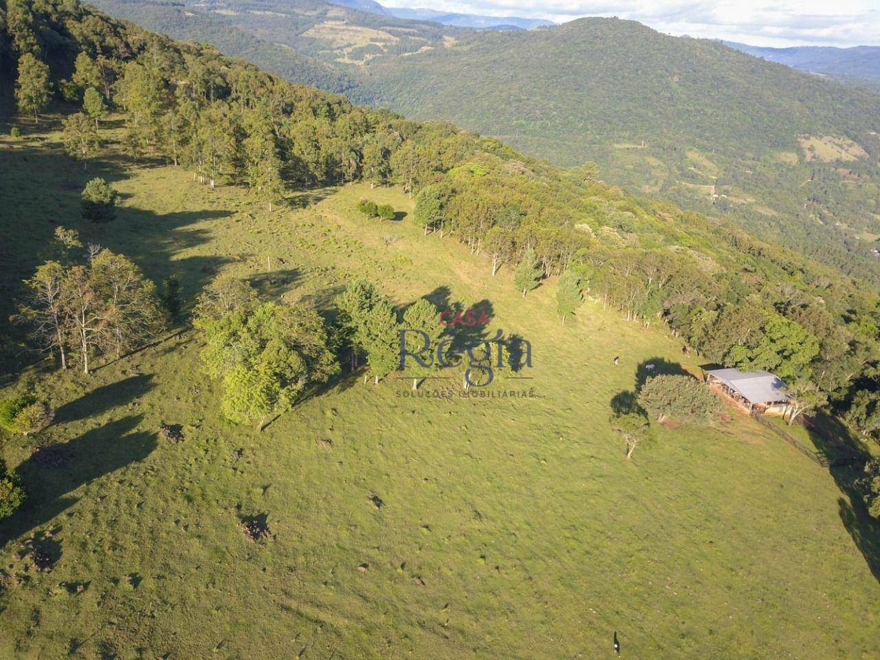 Sítio à venda com 3 quartos, 312229M2 - Foto 11