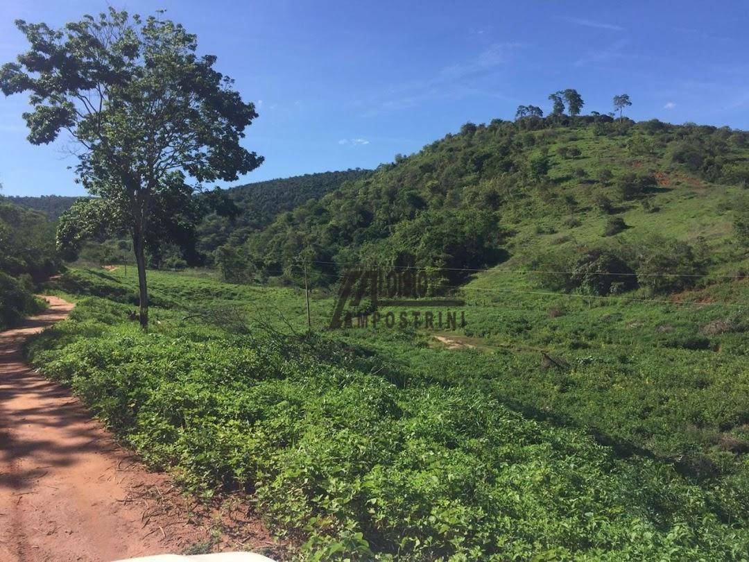 Fazenda à venda, 5469200M2 - Foto 57