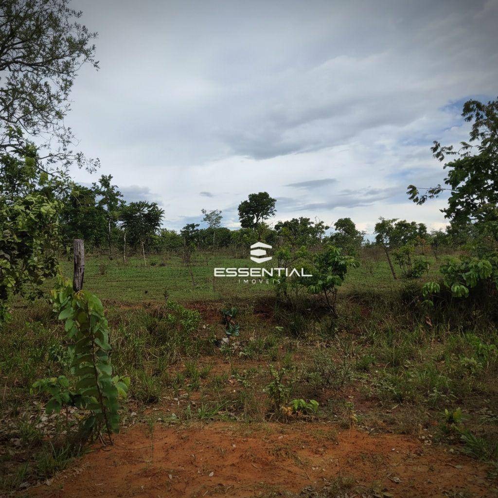 Fazenda, 5800 hectares - Foto 3