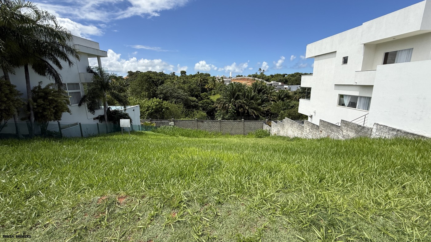 Terreno à venda, 392m² - Foto 3
