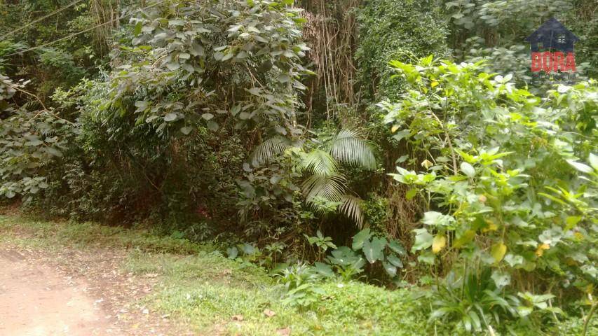 Loteamento e Condomínio à venda, 1700M2 - Foto 6