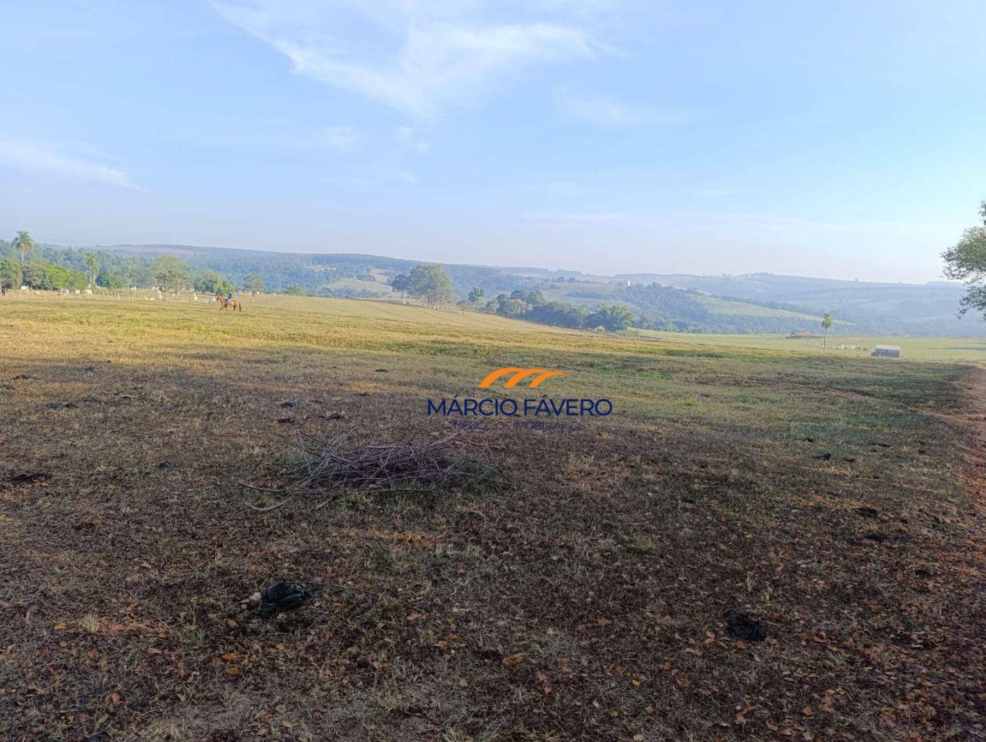 Sítio, 61 hectares - Foto 2