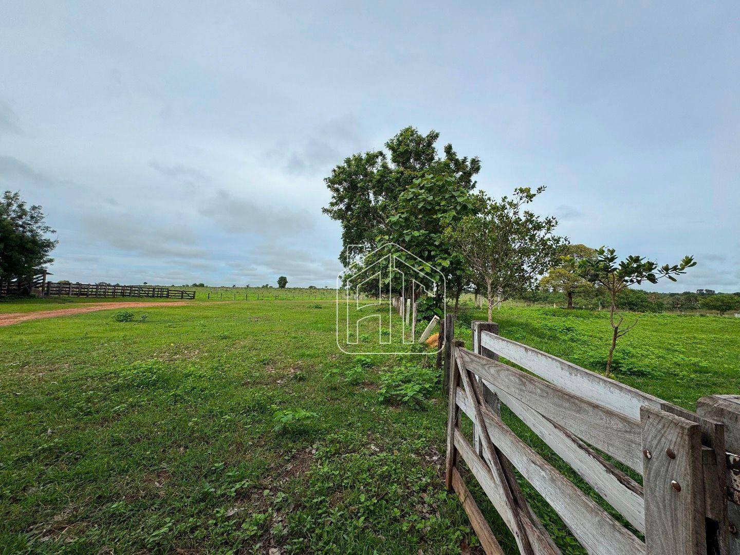 Fazenda à venda com 3 quartos, 26600000M2 - Foto 4