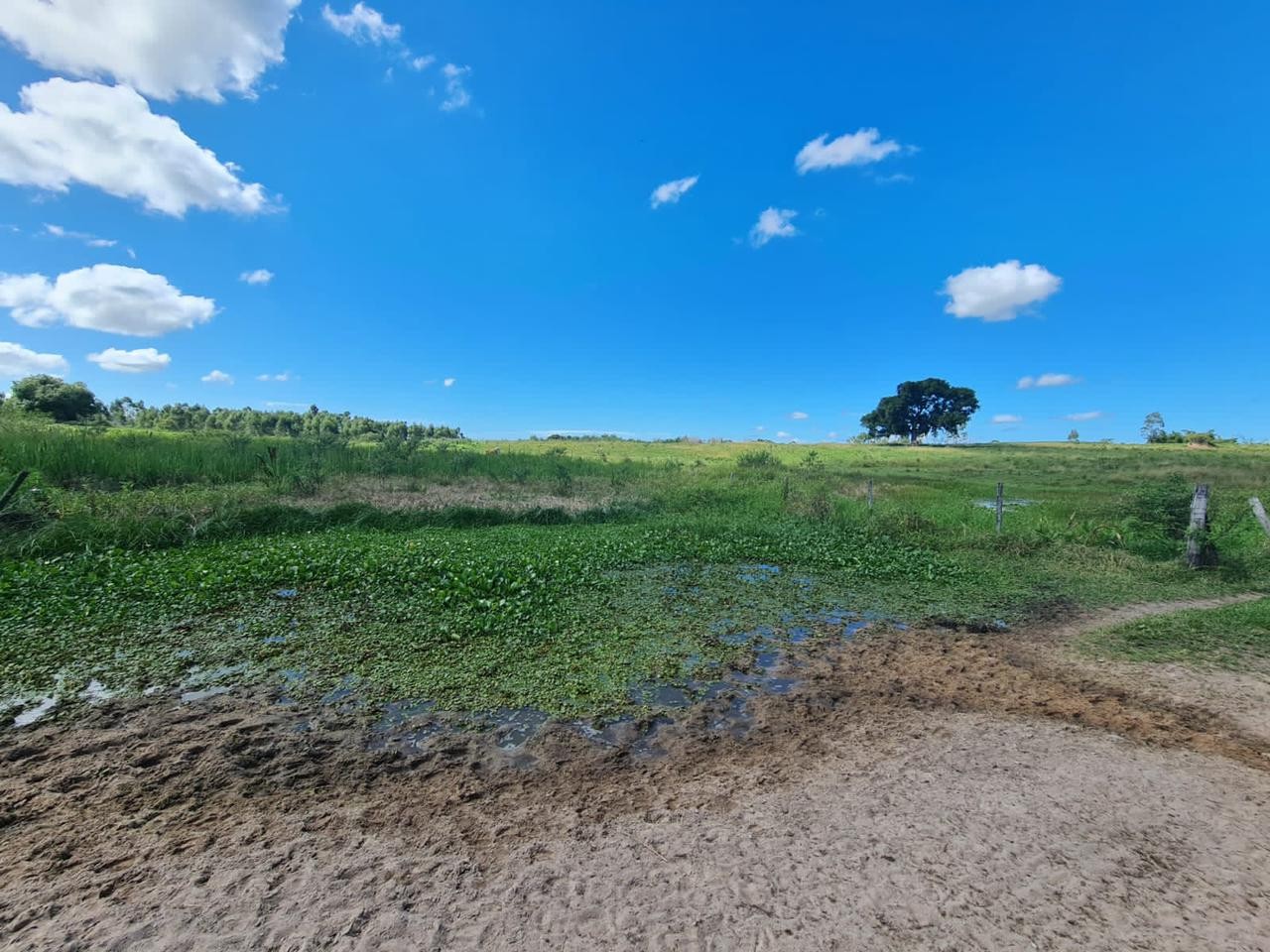Fazenda à venda, 48400m² - Foto 48