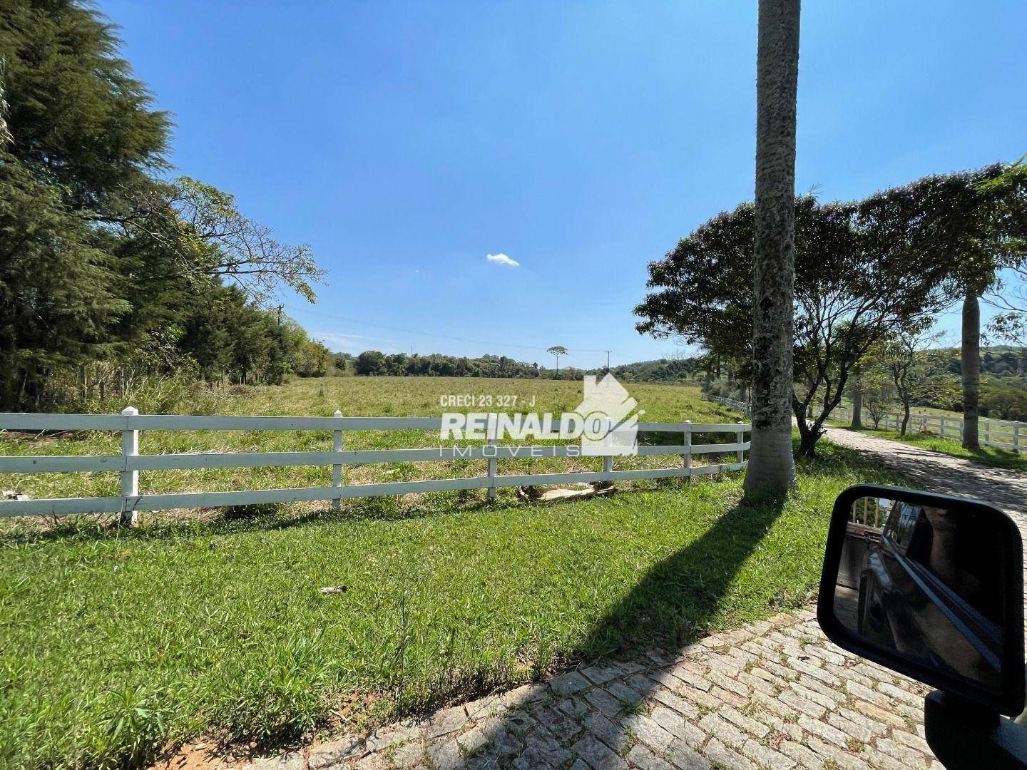 Haras e Área Rural Padrão à venda com 16 quartos, 2500m² - Foto 3