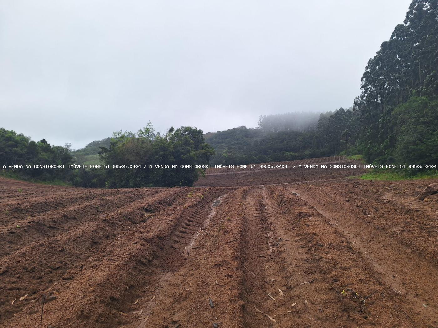 Sítio à venda com 2 quartos, 141000m² - Foto 32