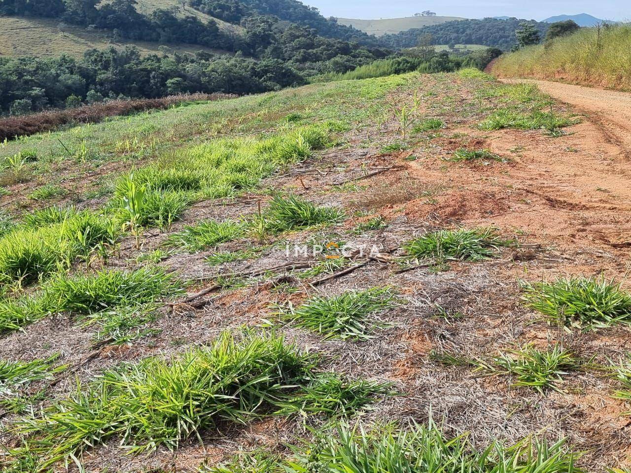 Terreno à venda, 1597200M2 - Foto 8