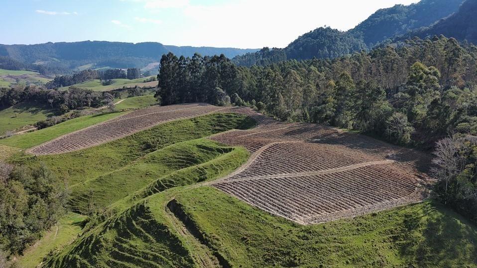 Sítio à venda, 50000m² - Foto 2