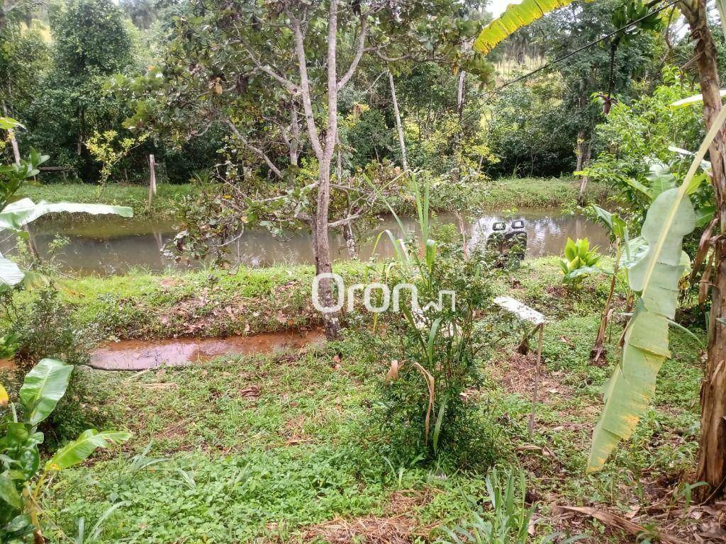 Chácara à venda com 3 quartos, 4000M2 - Foto 4