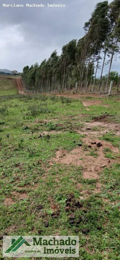 Loteamento e Condomínio, 5 hectares - Foto 3