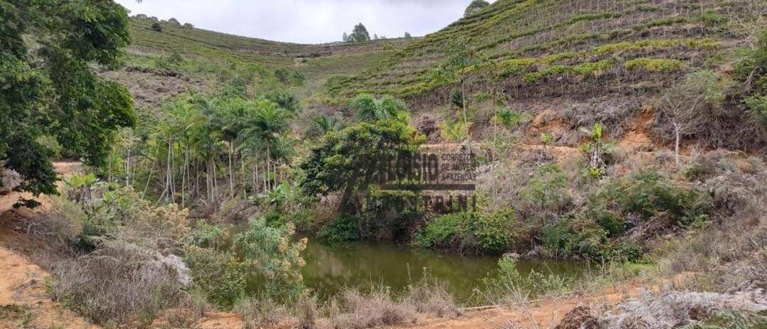 Fazenda à venda, 1452000M2 - Foto 1