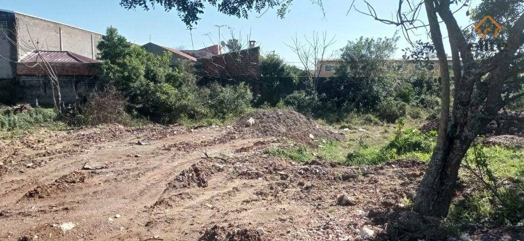 Terreno à venda, 900M2 - Foto 2