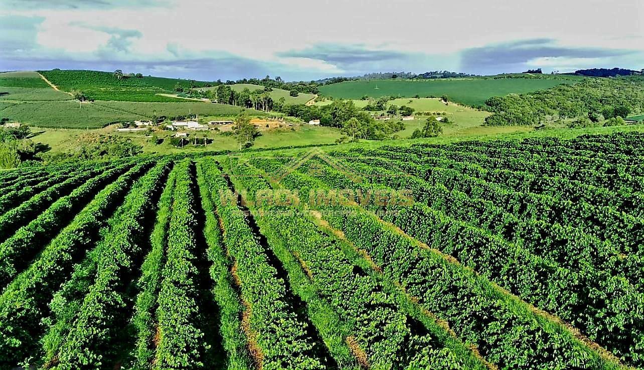 Fazenda à venda, 40m² - Foto 19