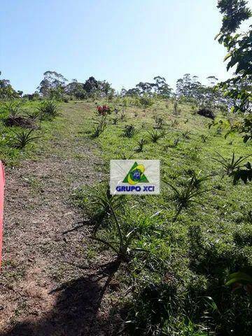 Terreno, 3 hectares - Foto 4