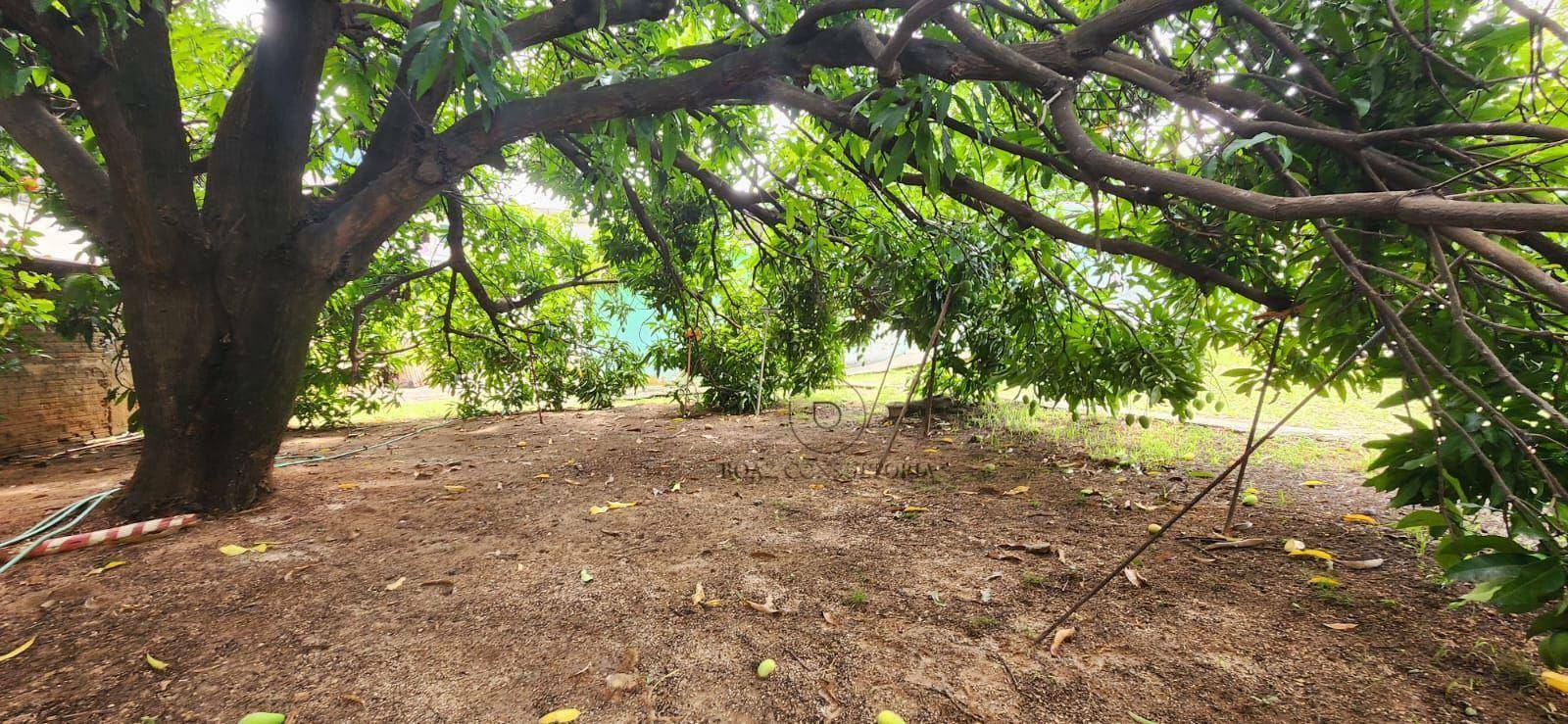 Terreno à venda, 800M2 - Foto 16