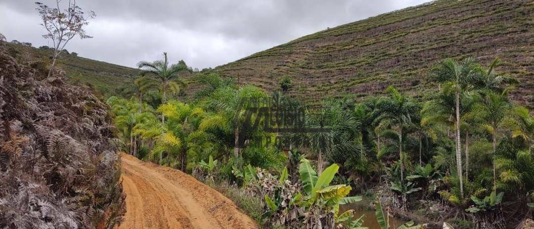 Fazenda à venda, 1452000M2 - Foto 3