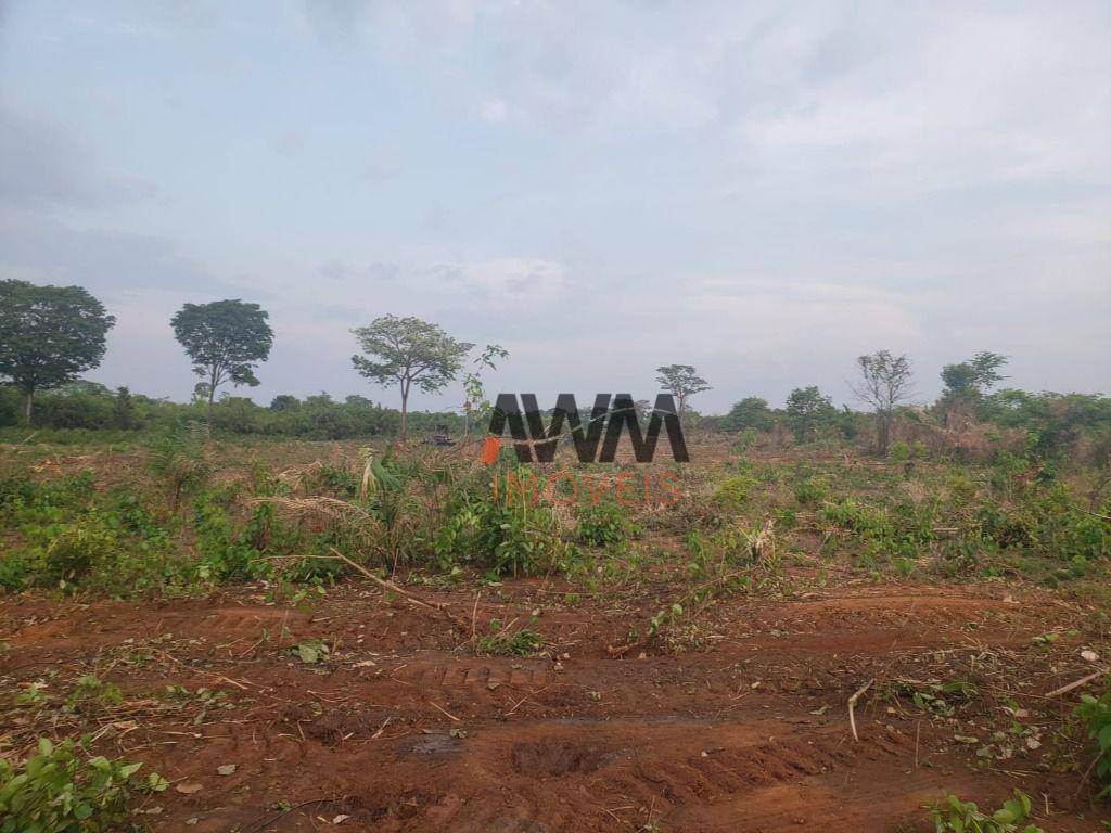 Fazenda, 4306 hectares - Foto 10