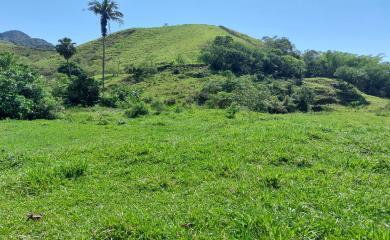 Fazenda à venda com 3 quartos, 30000m² - Foto 7