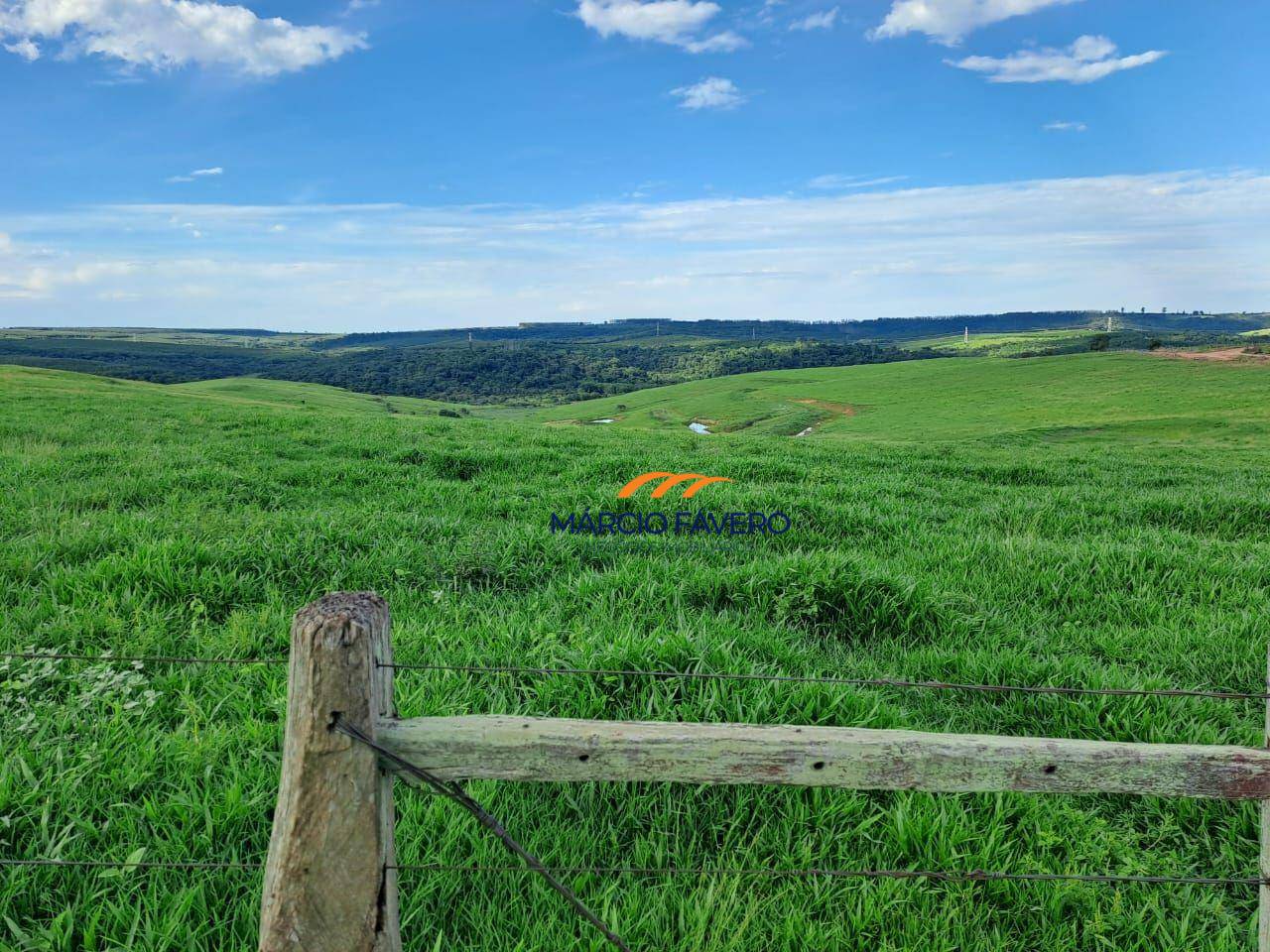 Fazenda, 571 hectares - Foto 4