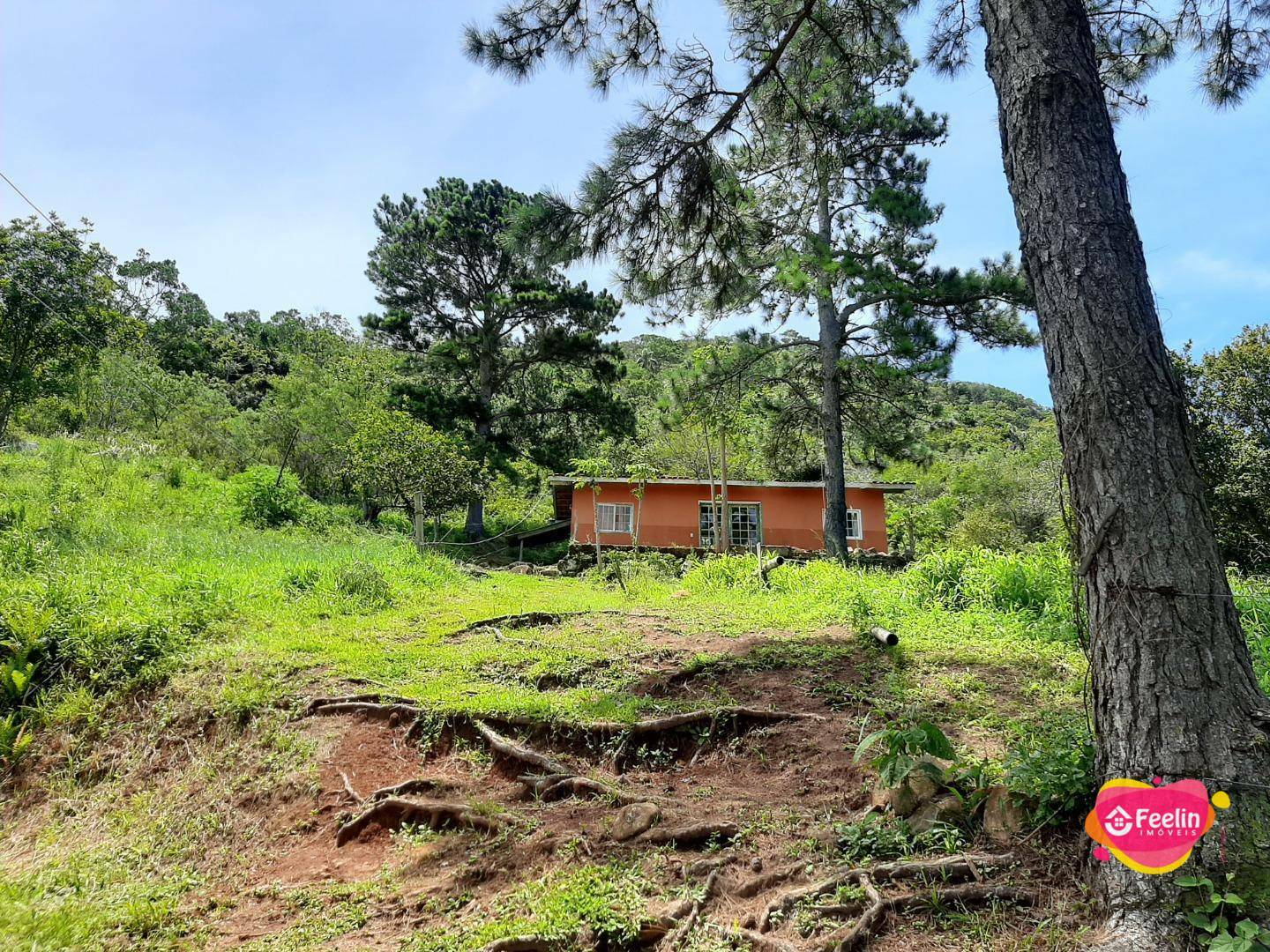 Terreno à venda, 20000M2 - Foto 18