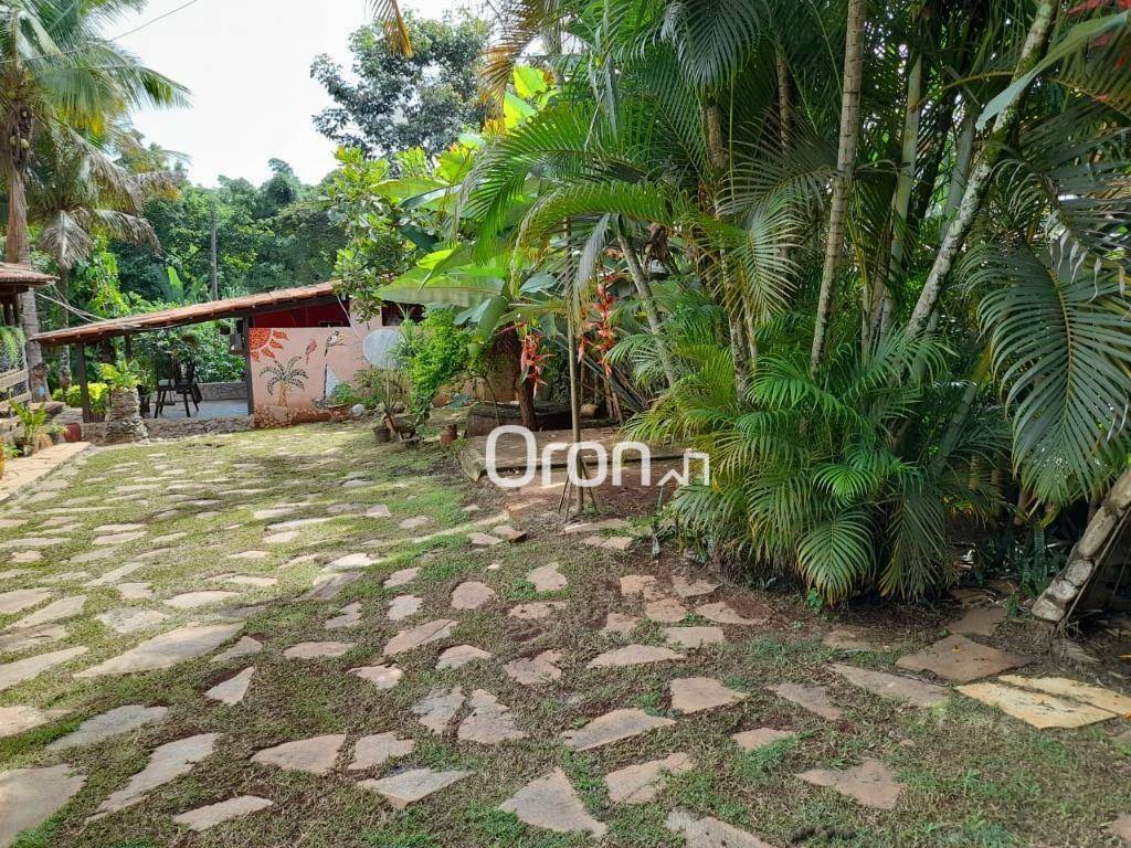 Chácara à venda com 4 quartos, 6000M2 - Foto 26