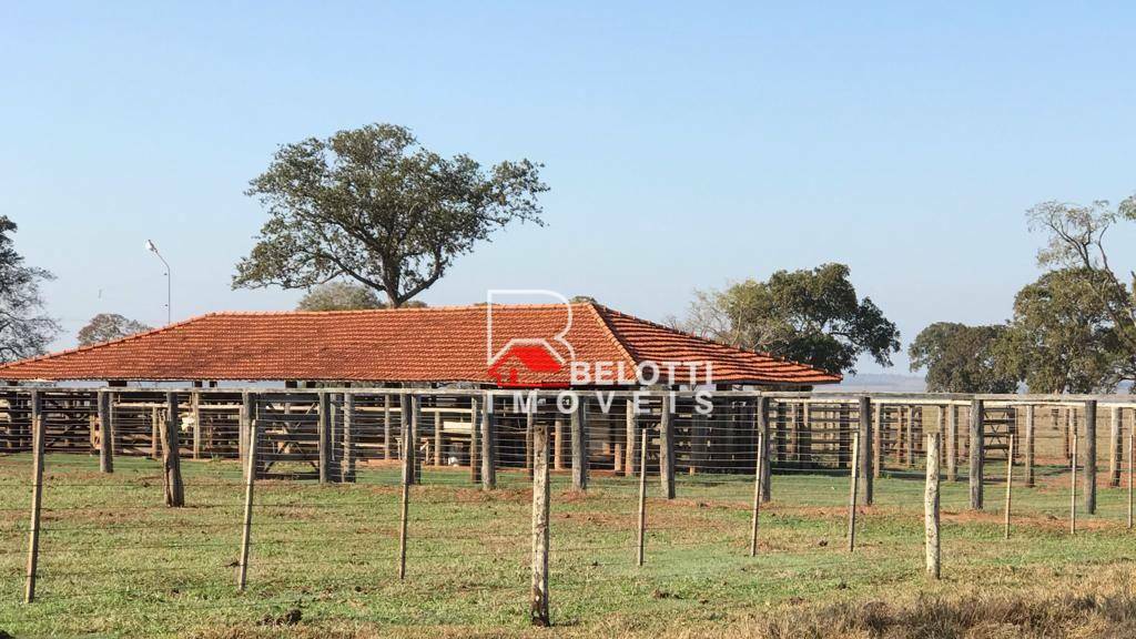 Fazenda-Sítio-Chácara, 2674 hectares - Foto 3