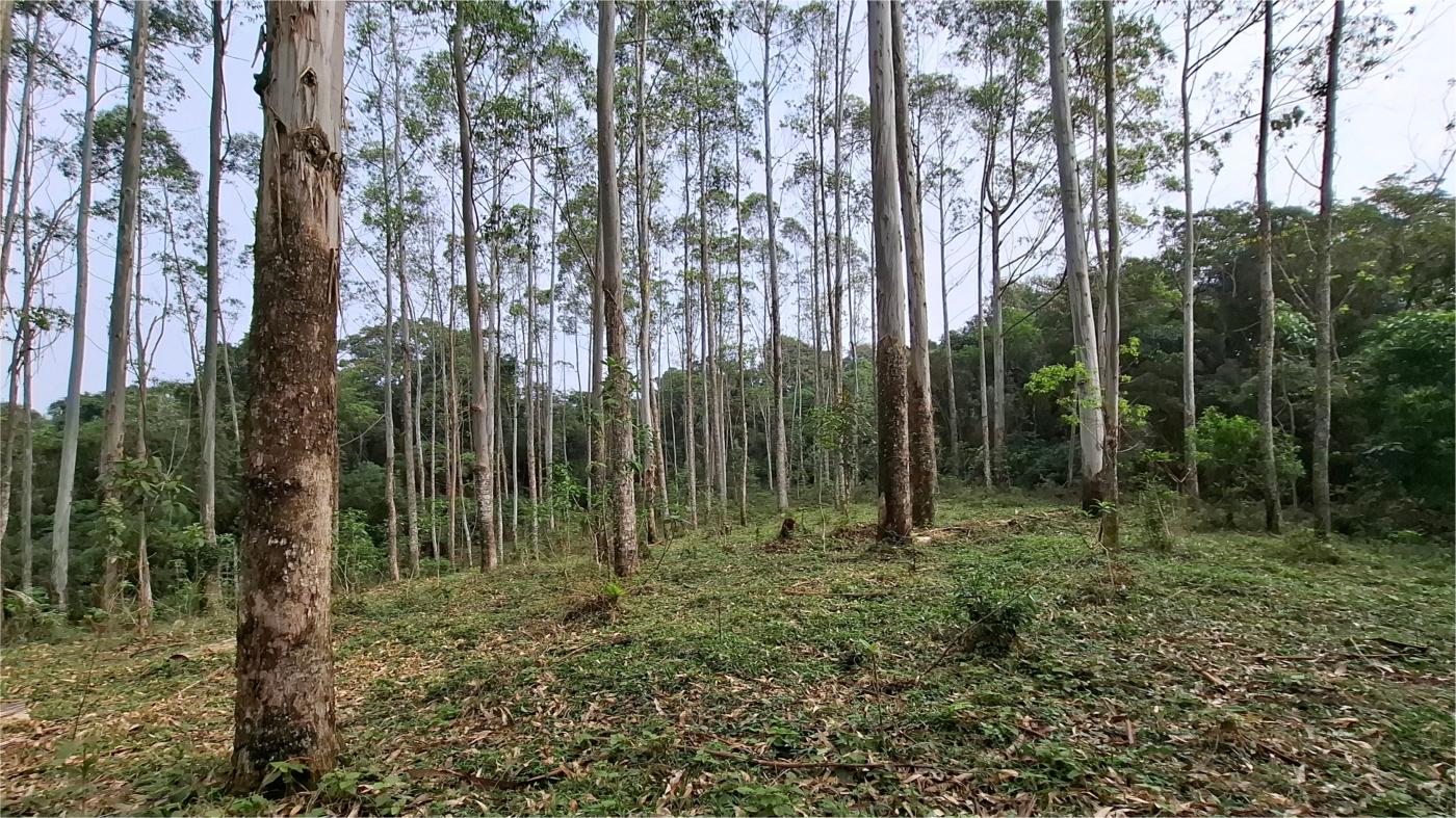 Fazenda à venda, 277963m² - Foto 33