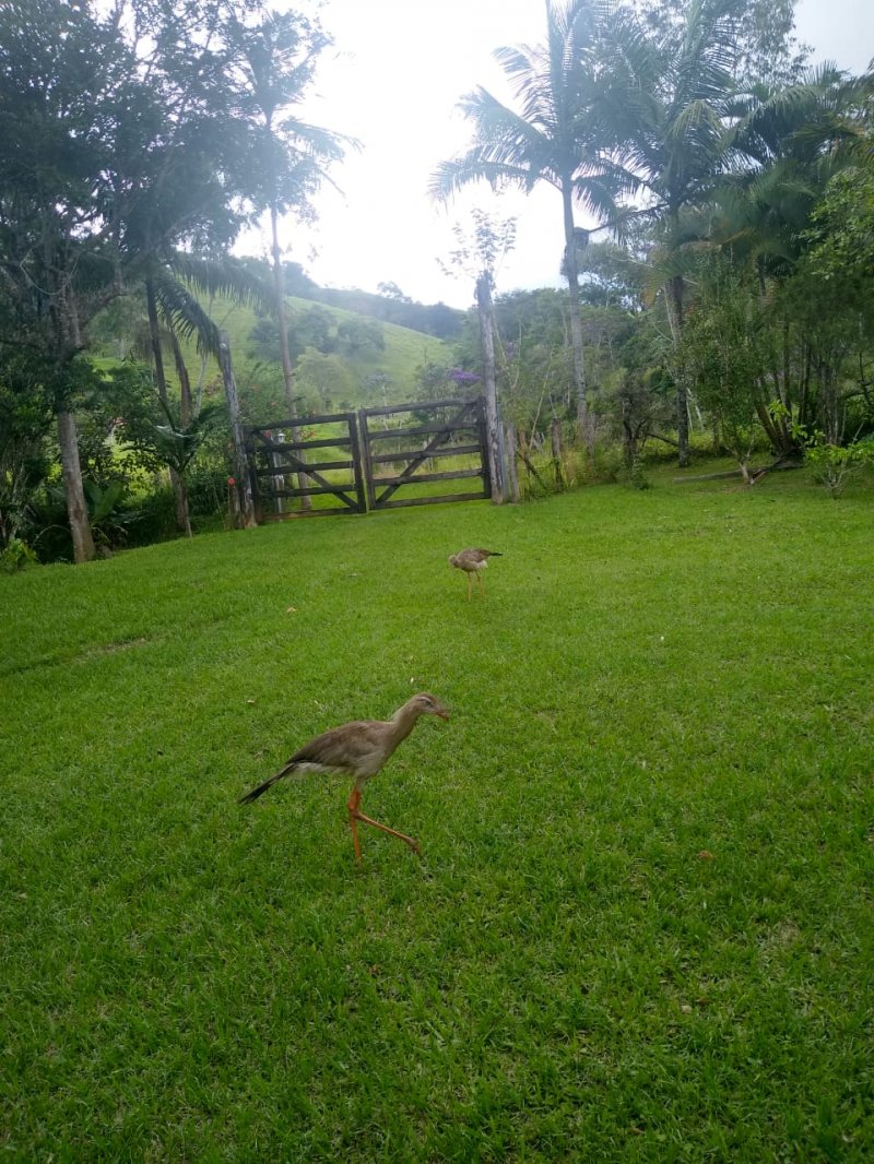 Chácara, 2 quartos, 120 m² - Foto 12