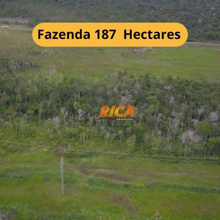 Fazenda-Sítio-Chácara, 187 hectares - Foto 1