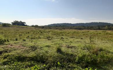 Fazenda à venda com 3 quartos, 110000m² - Foto 2